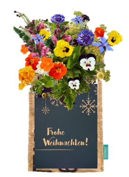 "frohe Weihnachten"- Karte mit Let it grow - Hängegarten- essbare Blumen - Fairtrade Upcycling