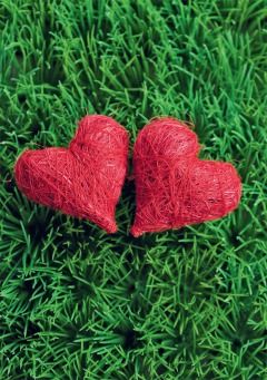 Grußkarte - rote Herzen auf Rasen